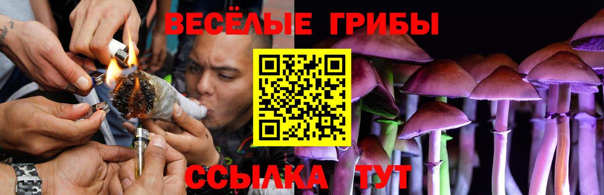 Кондопога  Галлюциногенные грибы MAGIC MUSHROOMS  Вход с VPN 